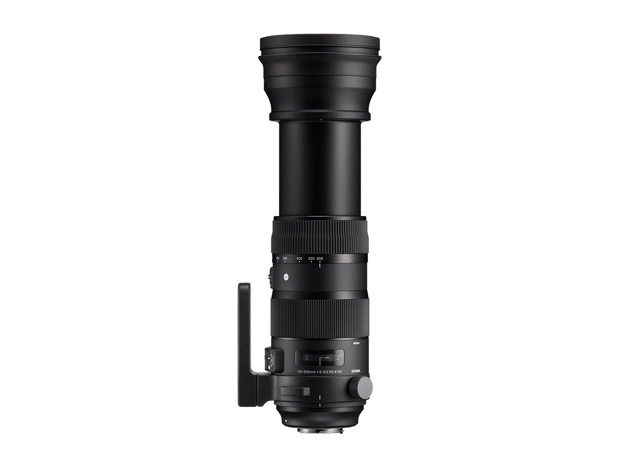 SIGMA 150-600mm F5-6.3 DG OS HSM | Sports