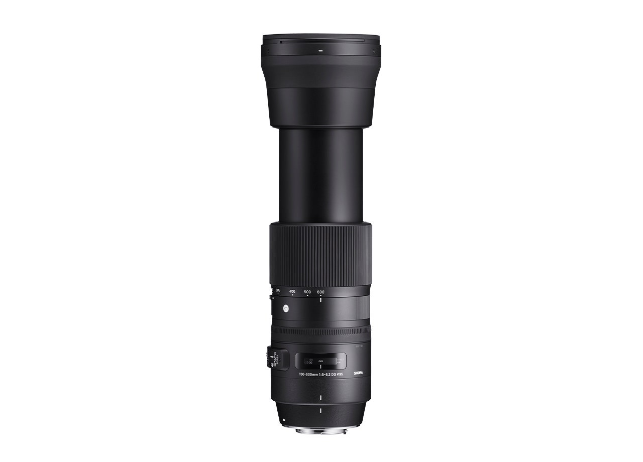 SIGMA 150-600mm F5-6.3 DG OS HSM | Contemporary