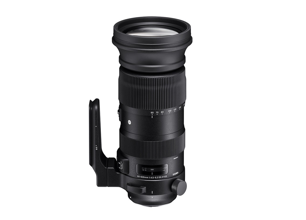 SIGMA 60-600mm F4.5-6.3 DG OS HSM | Sports