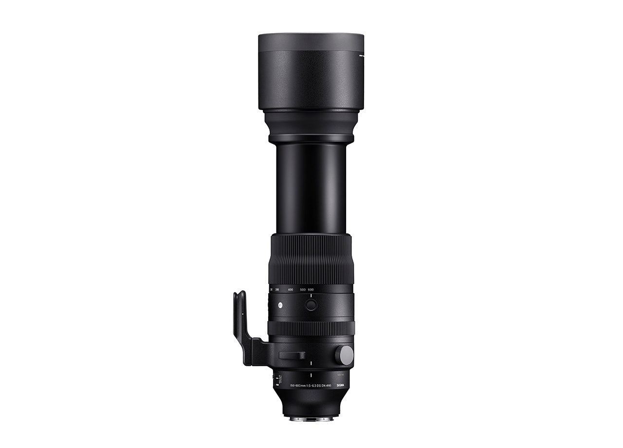 SIGMA 150-600mm F5-6.3 DG DN OS | Sports